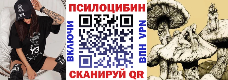 Галлюциногенные грибы Psilocybine cubensis  kraken зеркало  Андреаполь 